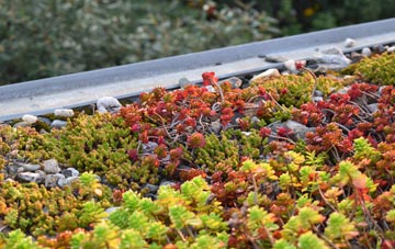the cost of Walcote green roof installation
