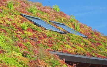 Walcote living roof systems