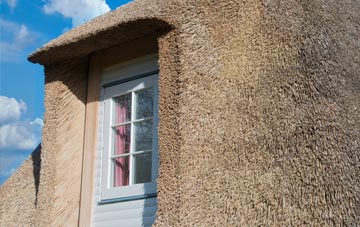 Walcote thatch roof disadvantages